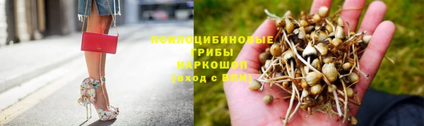 спайс Алексеевка