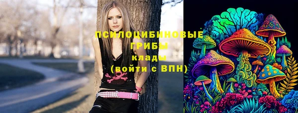 таблы Алзамай
