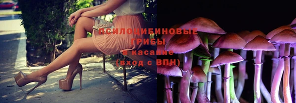 таблы Алзамай