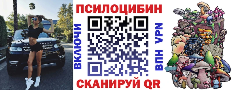 гидра ONION  Александров  Псилоцибиновые грибы Cubensis 